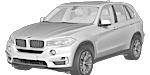 BMW F15 P1234 Fault Code